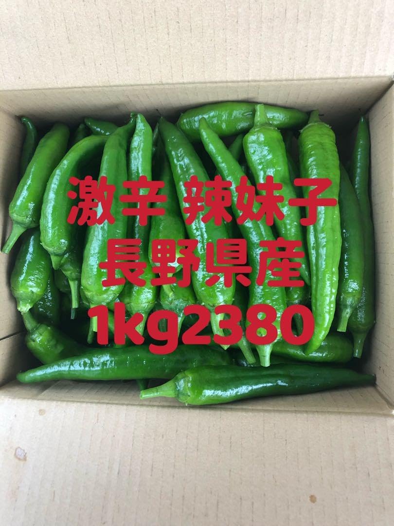 激辛 辣妹子 青唐辛子 13kg長野県産 【露地栽培】自然成熟 激辛 辣妹子 青唐辛子 13kg長野県産 露地栽培自然成熟